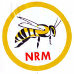 National Rescue Movement (NRM)